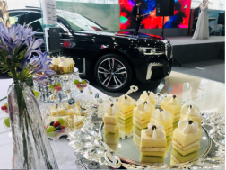 常州寶尊綜合展廳開業(yè)儀式暨BMW全系鉅惠盛典圓滿結(jié)束(3)245
